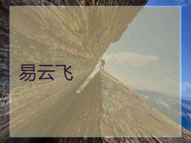 易云飞