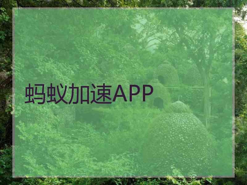 蚂蚁加速APP