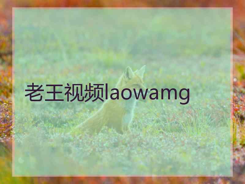 老王视频laowamg