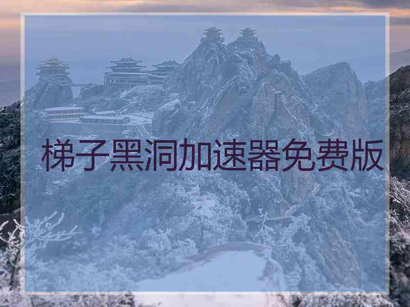 梯子黑洞加速器免费版