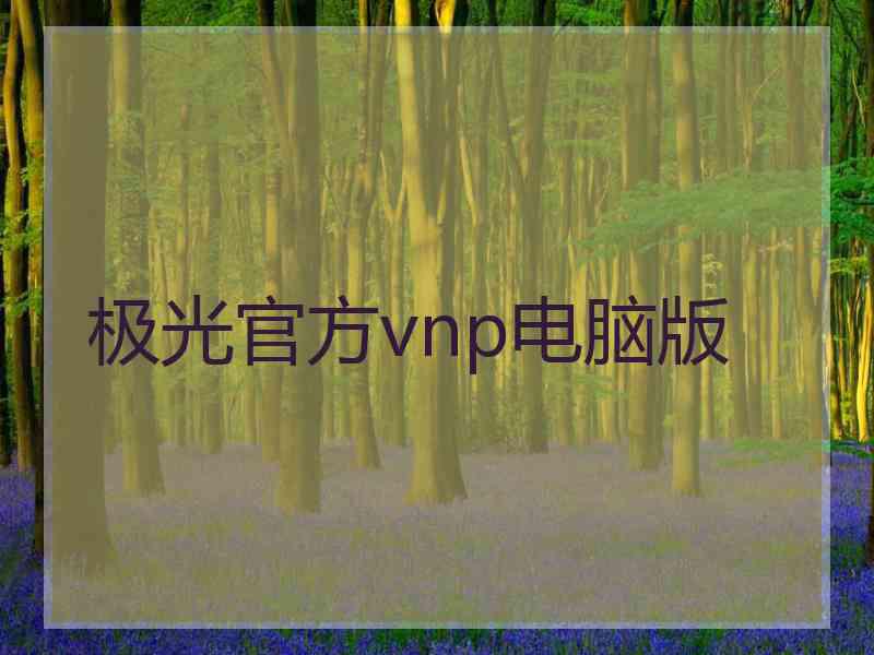 极光官方vnp电脑版