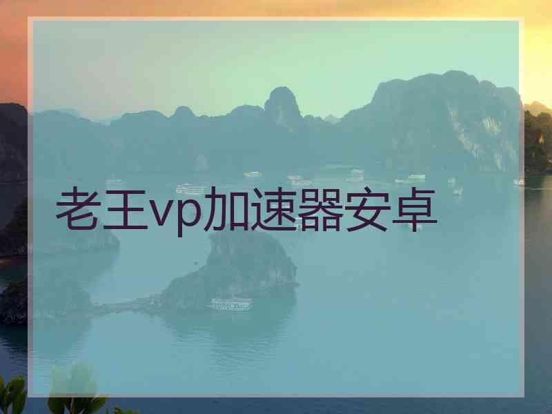 老王vp加速器安卓