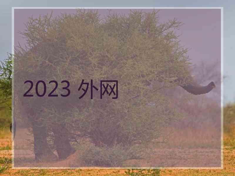 2023 外网