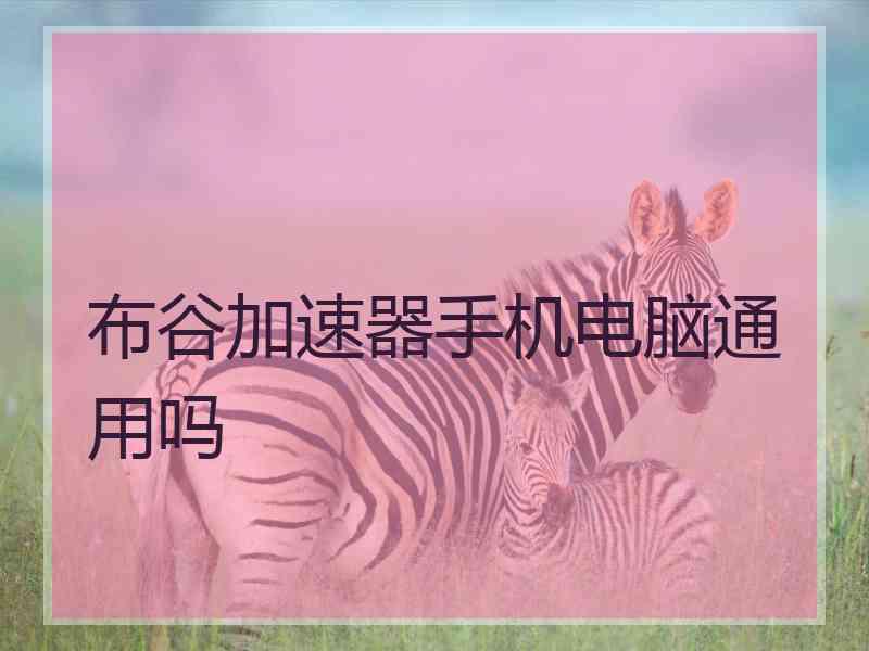 布谷加速器手机电脑通用吗