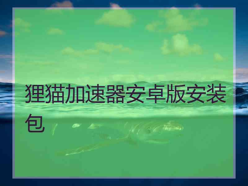 狸猫加速器安卓版安装包