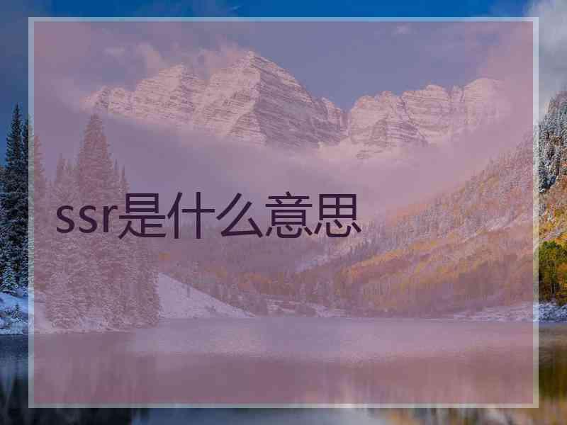 ssr是什么意思