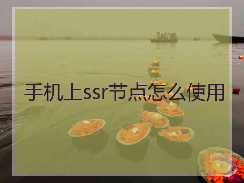 手机上ssr节点怎么使用