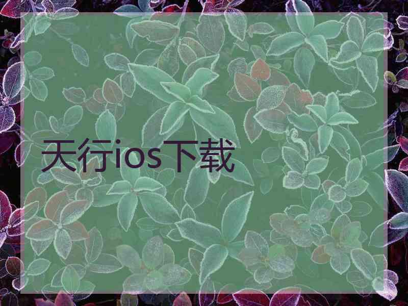 天行ios下载