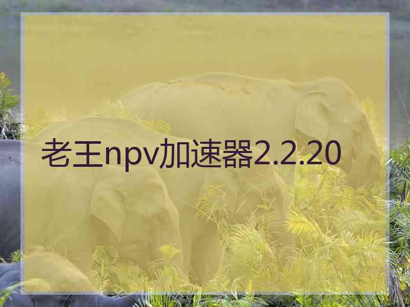 老王npv加速器2.2.20