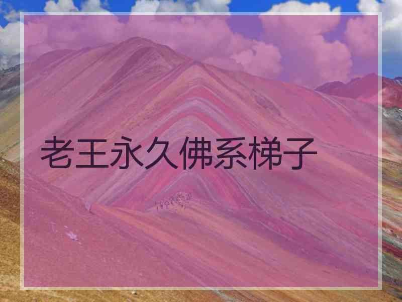老王永久佛系梯子