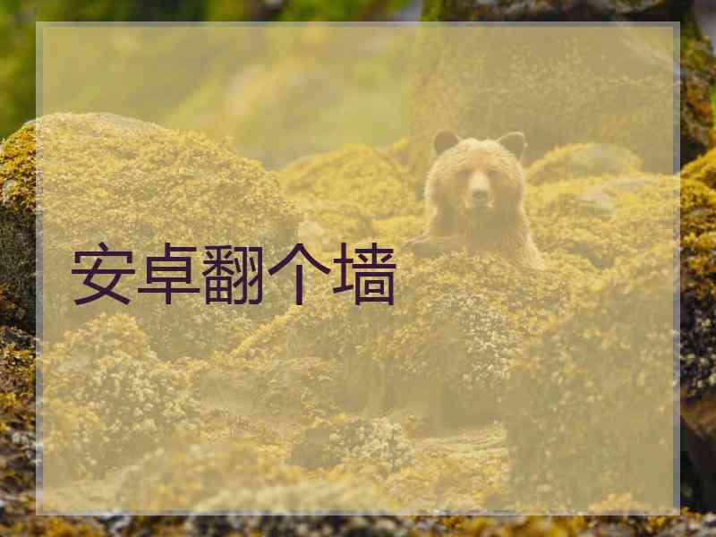 安卓翻个墙