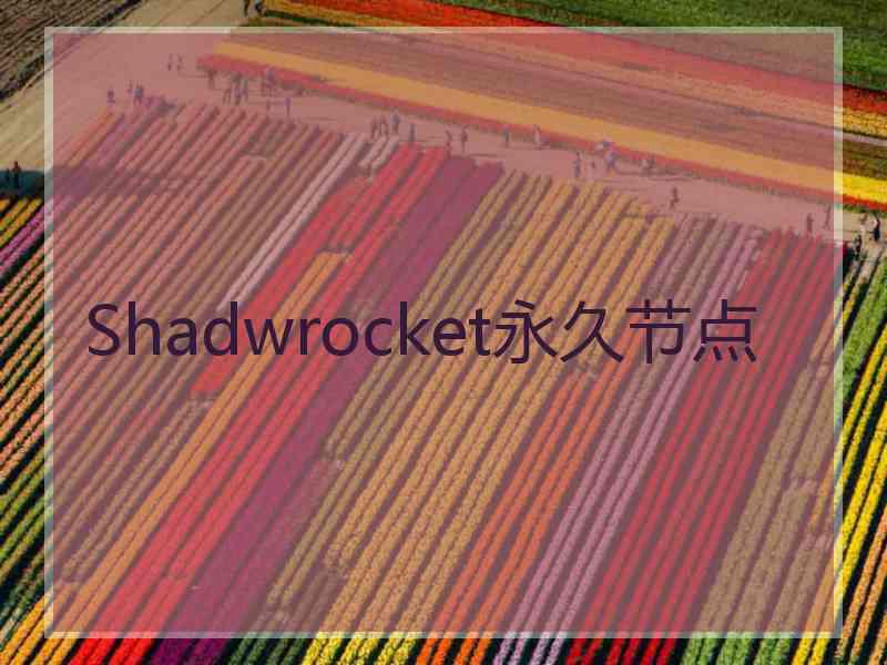 Shadwrocket永久节点