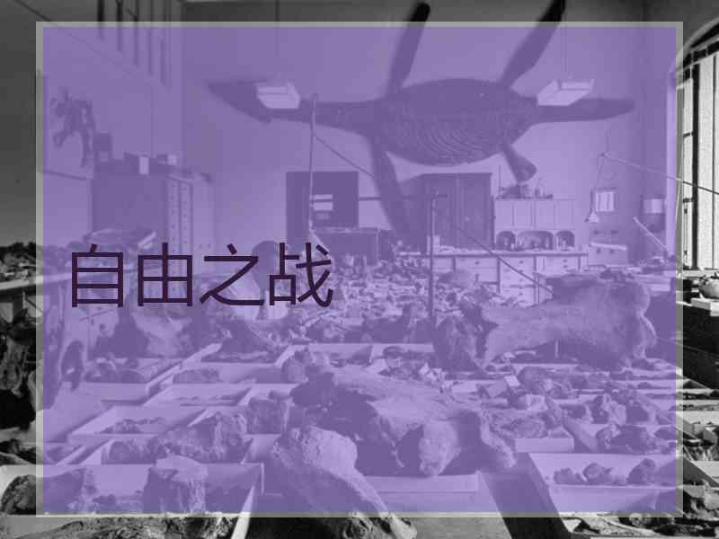 自由之战