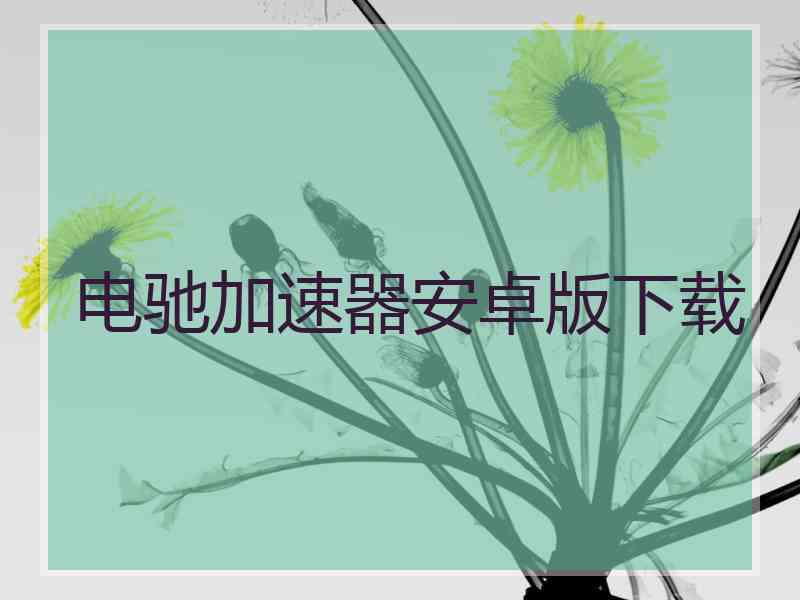 电驰加速器安卓版下载