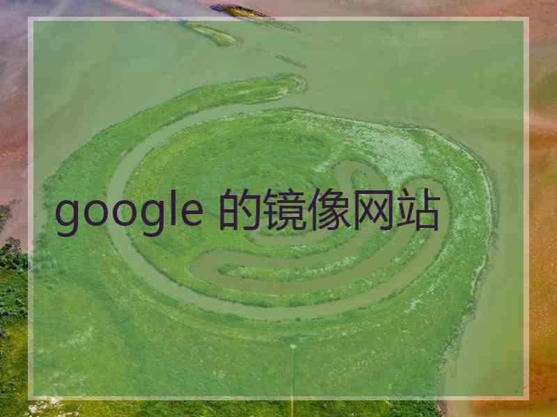 google 的镜像网站