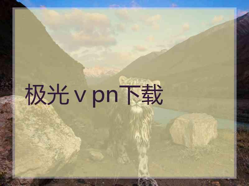 极光ⅴpn下载