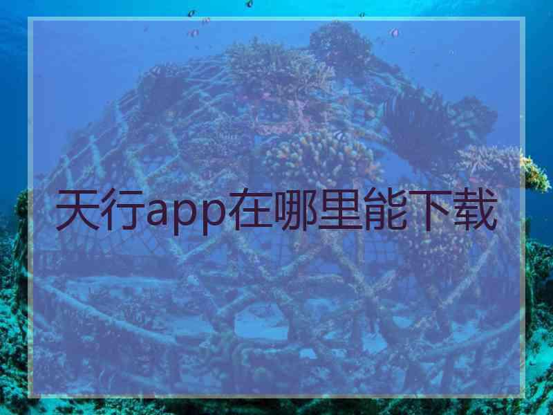 天行app在哪里能下载