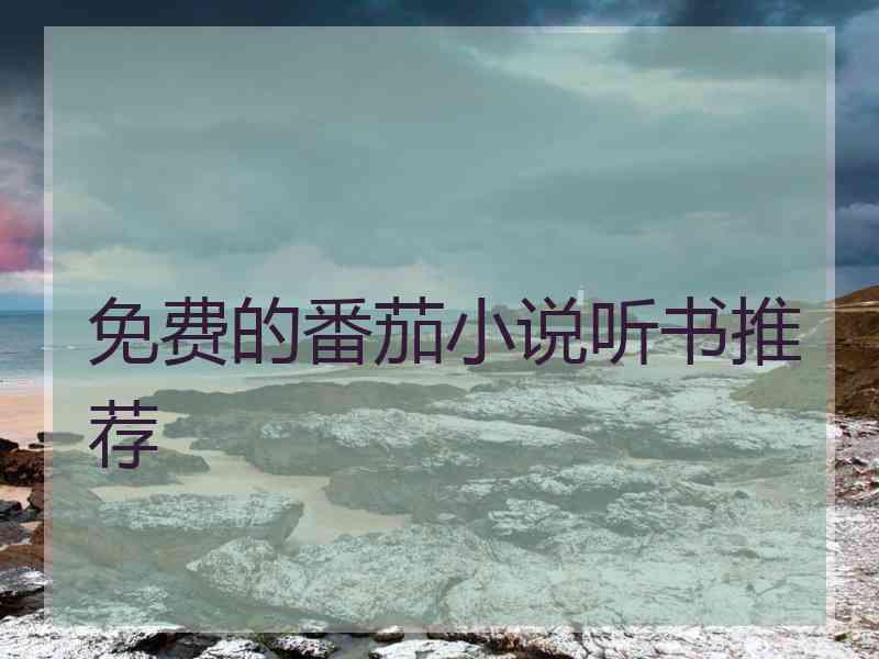 免费的番茄小说听书推荐