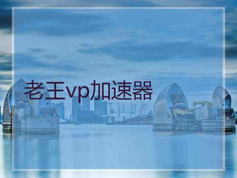老王vp加速器