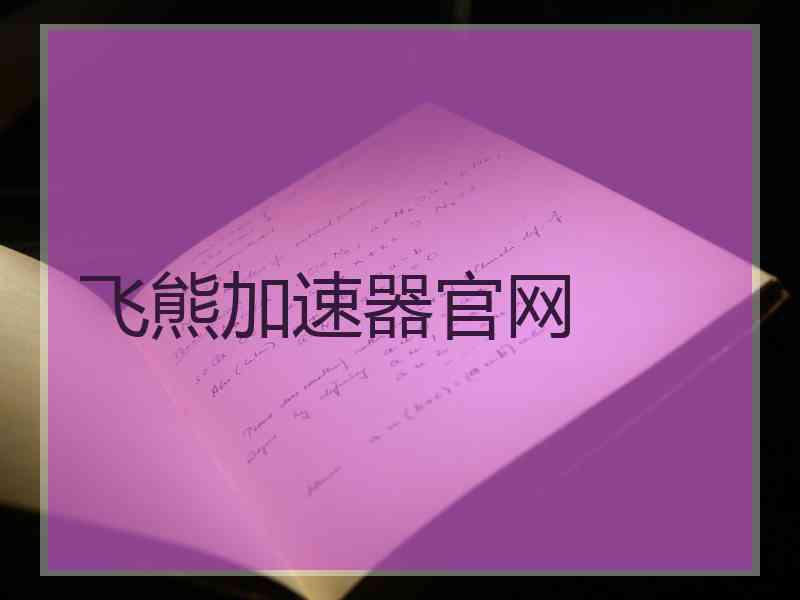 飞熊加速器官网