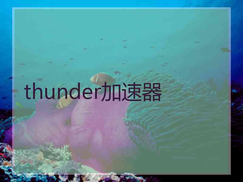 thunder加速器