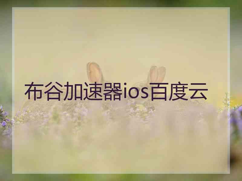 布谷加速器ios百度云