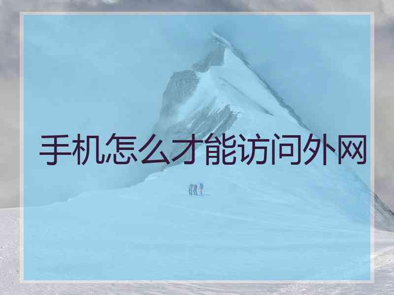手机怎么才能访问外网