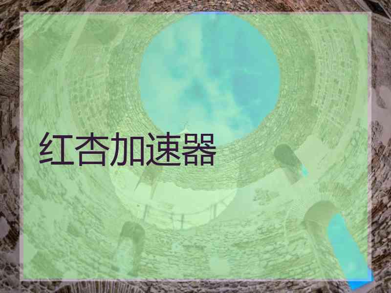 红杏加速器