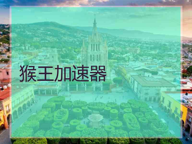 猴王加速器