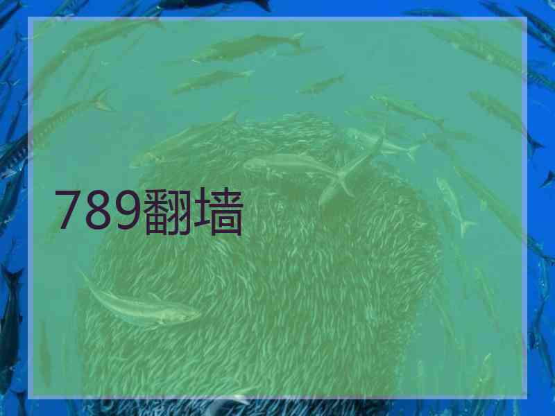 789翻墙