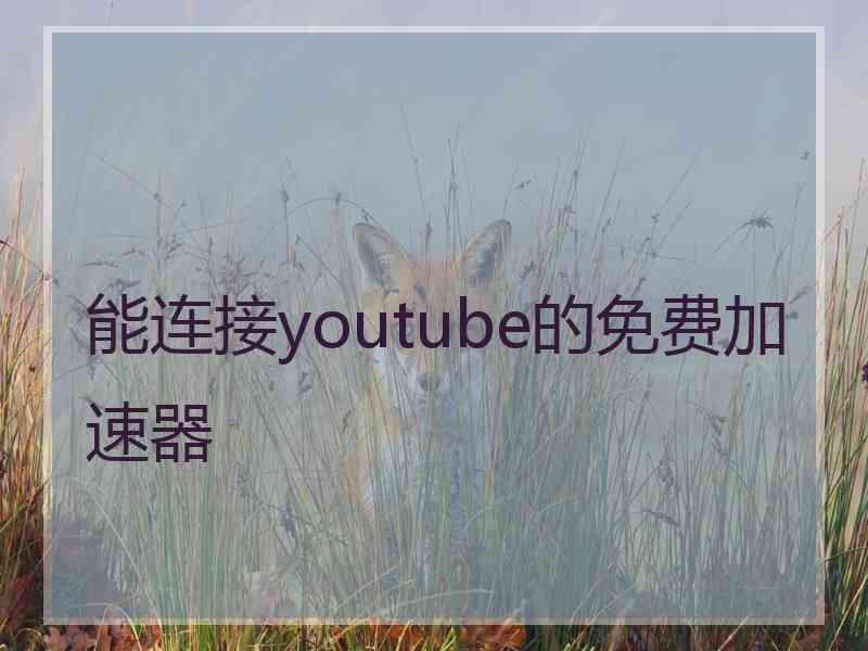 能连接youtube的免费加速器