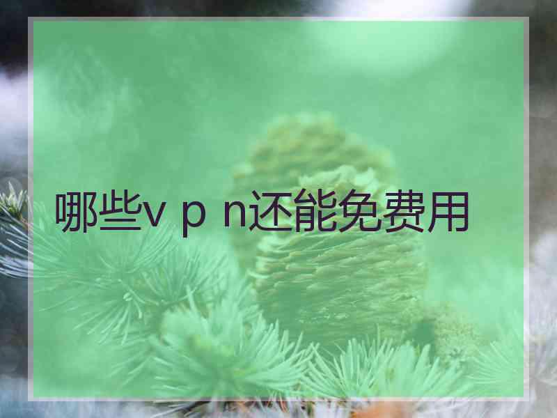 哪些v p n还能免费用