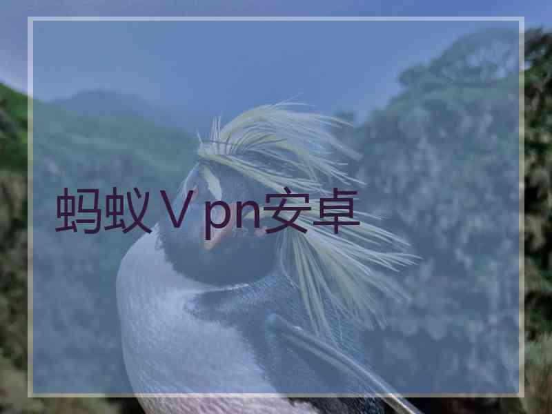 蚂蚁Ⅴpn安卓
