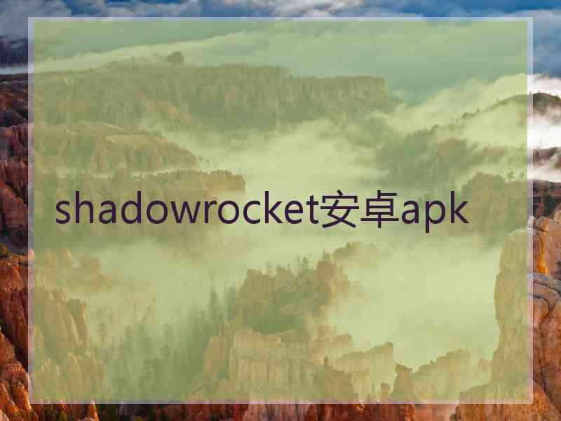 shadowrocket安卓apk