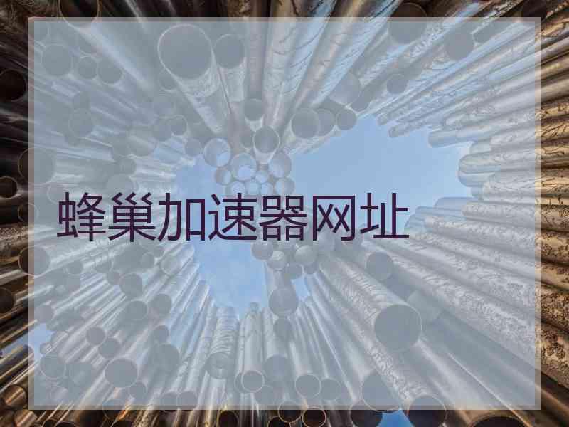 蜂巢加速器网址