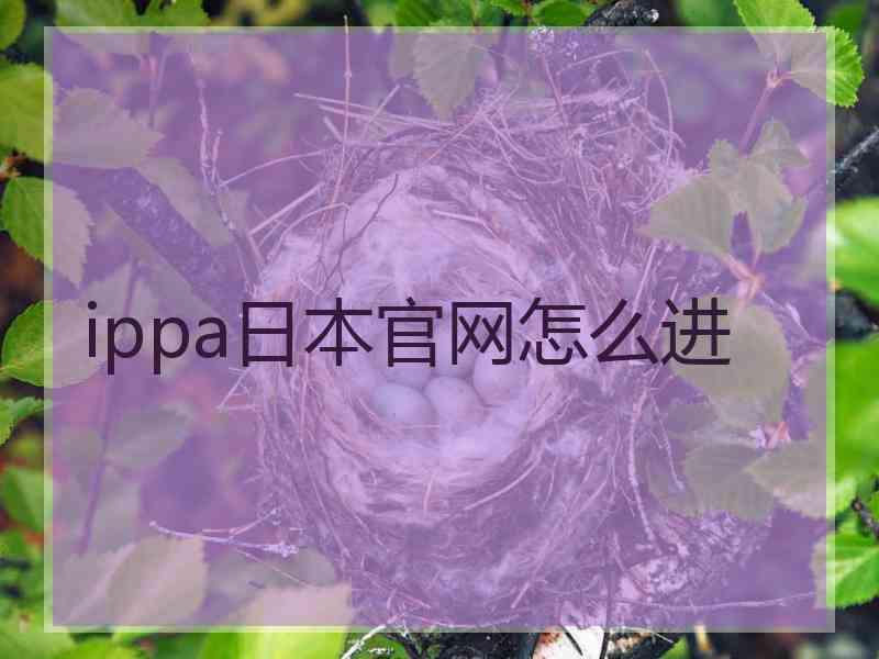 ippa日本官网怎么进