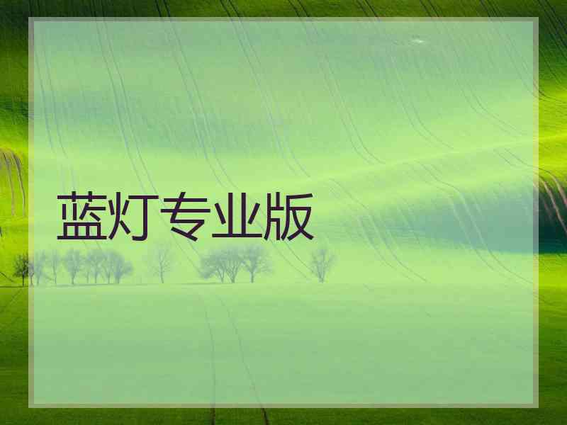 蓝灯专业版
