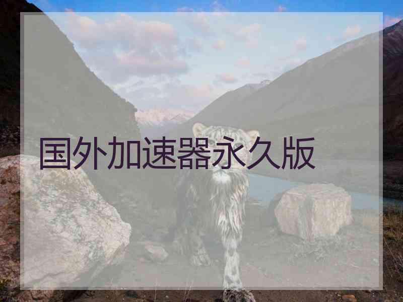 国外加速器永久版