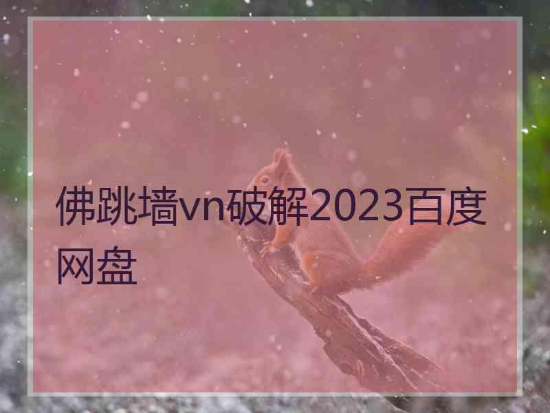 佛跳墙vn破解2023百度网盘