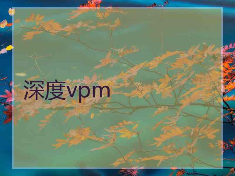 深度vpm