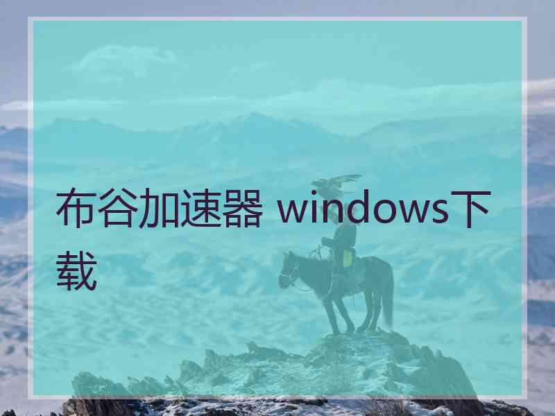 布谷加速器 windows下载