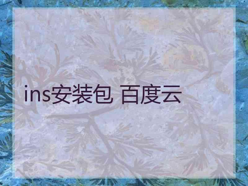 ins安装包 百度云