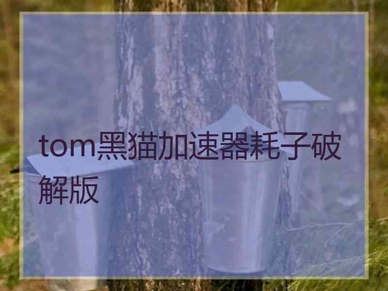 tom黑猫加速器耗子破解版