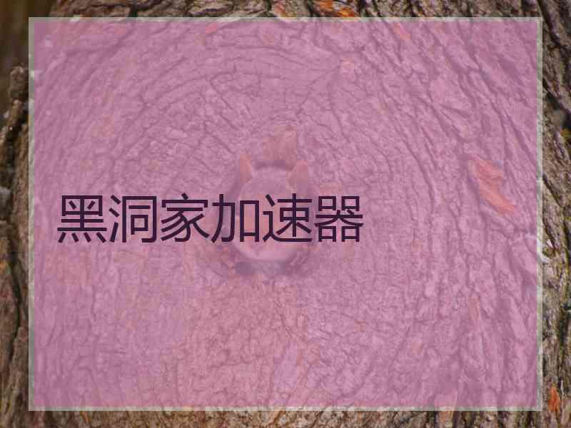 黑洞家加速器