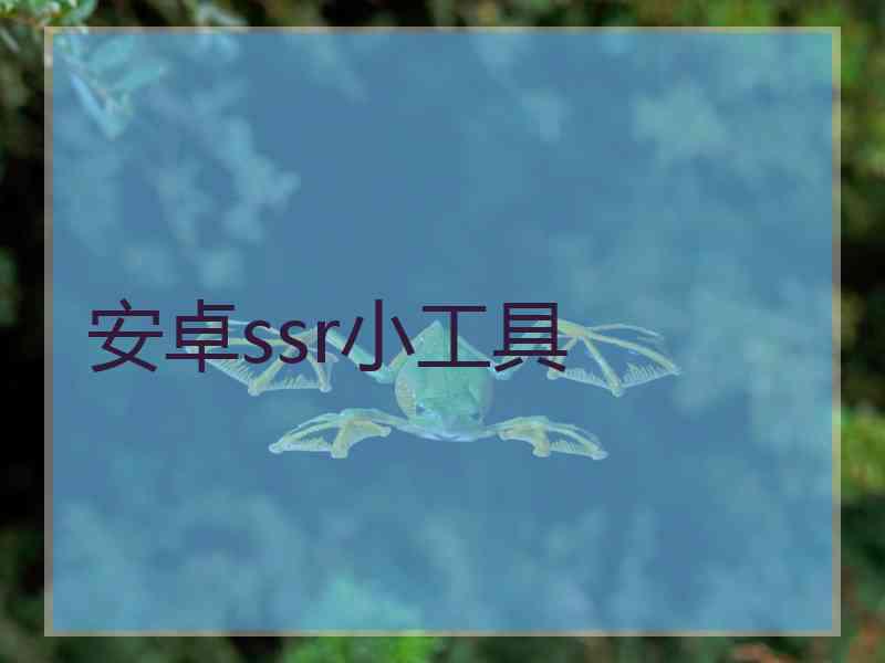 安卓ssr小工具