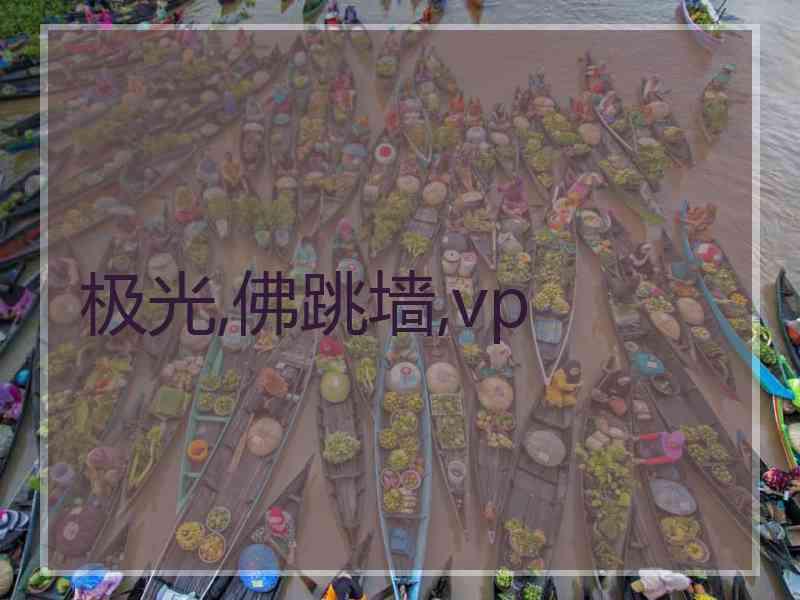 极光,佛跳墙,vp