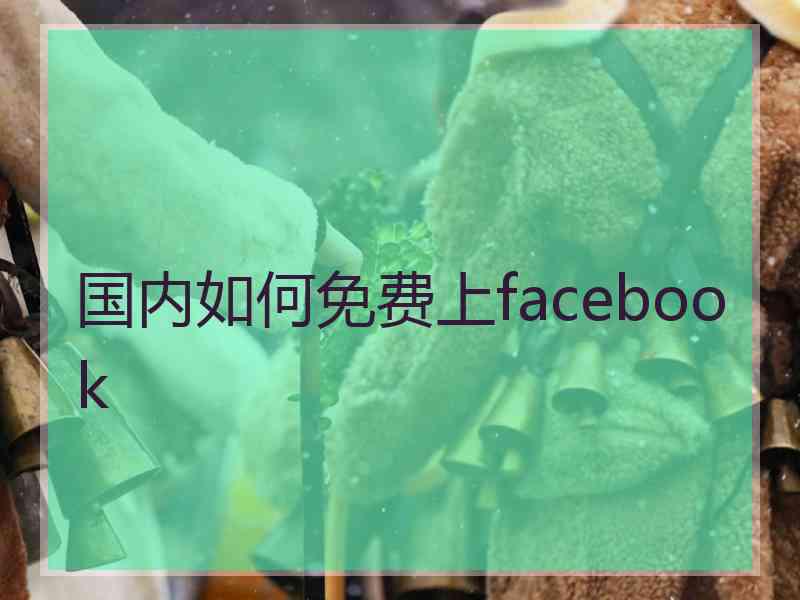 国内如何免费上facebook