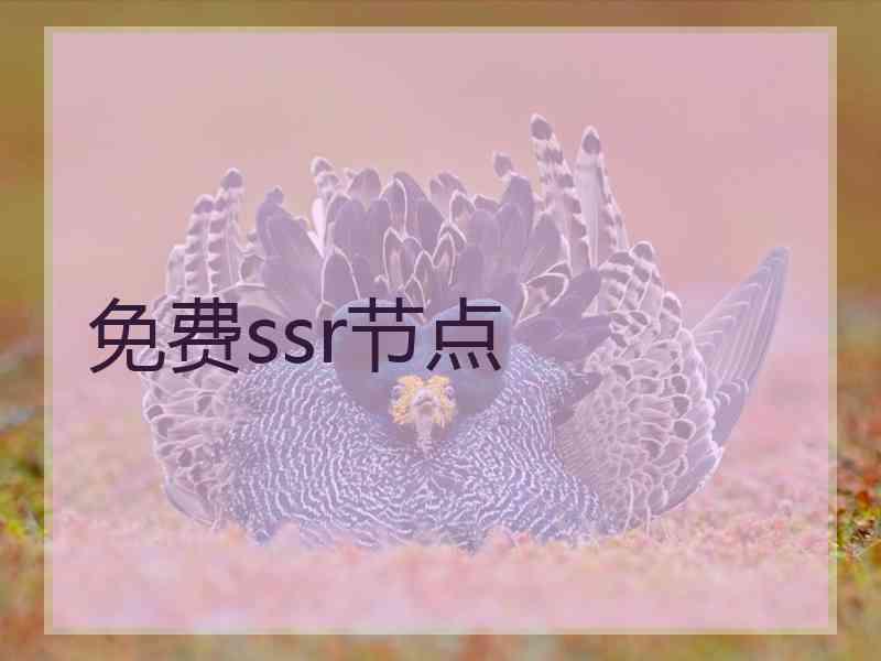 免费ssr节点