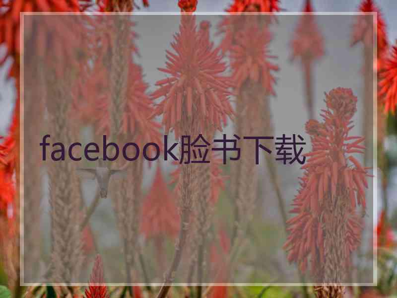 facebook脸书下载