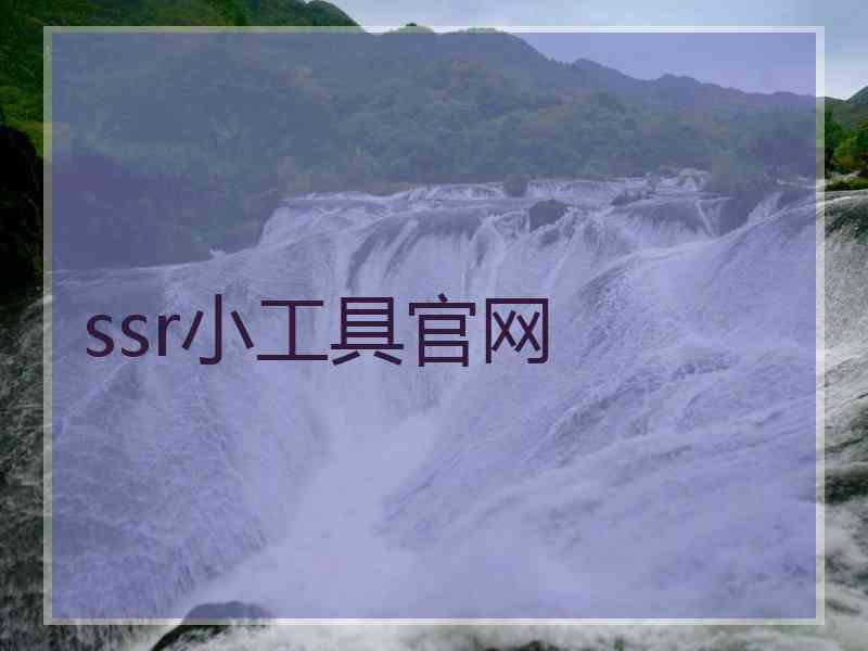 ssr小工具官网
